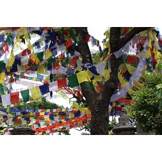 Tibetan, Polister, Cheapest, Horizontal, Prayer Flags (1 packet have 5 rolls and 1 roll have 10 individual flags) - Small Size  