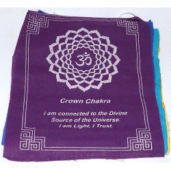 Tibetan Prayer Flags (25)