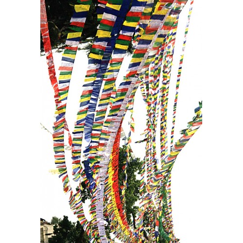 Tibetan, Polister, Cheapest, Horizontal, Prayer Flags (1 packet have 5 rolls and 1 roll have 10 individual flags) - Medium Size 