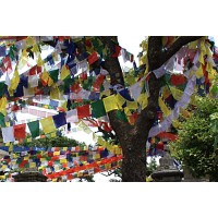 Tibetan, Polister, Cheapest, Horizontal, Prayer Flags (1 packet have 5 rolls and 1 roll have 10 individual flags) - Small Size   Tibetan, Polister, Cheapest, Horizontal, Prayer Flags (1 packet have 5 rolls and 1 roll have 10 individual flags) - Small Size