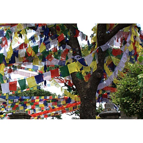 Tibetan, Polister, Cheapest, Horizontal, Prayer Flags (1 packet have 5 rolls and 1 roll have 10 individual flags) - Small Size  