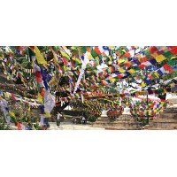 Tibetan, Polister, Cheapest, Horizontal, Prayer Flags (1 packet have 5 rolls and 1 roll have 10 individual flags) - Large Size  Tibetan, Polister, Cheapest, Horizontal, Prayer Flags (1 packet have 5 rolls and 1 roll have 10 individual flags) - Large Size