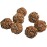 Five Faces Rudrakshya Mala from Nepal 54 Beads - Medium Size (15-16 mm)