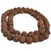 Five Faces Rudrakshya Mala from Nepal 54 Beads - Medium Size (15-16 mm)