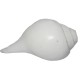 Plain Conch Shell (SANKHA), powerful ancient healing (therapeutic) instrument, Hand work, Coffee (Brown) color - Small Size