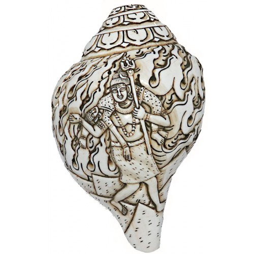 Shiva Parbati Carving Conch Shell(SANKHA), powerful ancient healing (therapeutic) instrument, Hand work-White Color - Medium Size