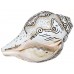 Shiva Parbati Carving Conch Shell(SANKHA), powerful ancient healing (therapeutic) instrument, Hand work-White Color - Medium Size