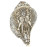 God Vishnu Carving Conch Shell (SANKHA), powerful ancient healing (therapeutic) instrument, Hand work, White Color - Medium Size