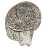 Eight Auspisious Carving Conch Shell(SANKHA), powerful ancient healing (therapeutic) instrument, Hand work, White Color - Medium Size