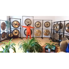 Planetary Gong master professional course in Germany on 11-12 Janyary 2020
