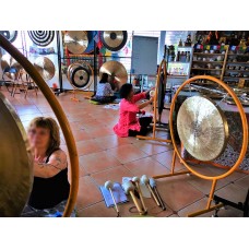 Therapeutic Gong Master Course  (Gong Healing Intensive course) on 20 & 21 May 2024, Level  "II"